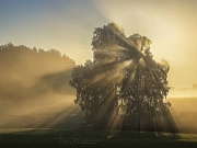 Posledn� letn� paprsky