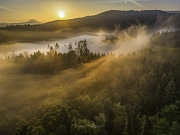 Tekouc� zlat� mlhy