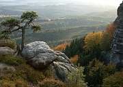 �esk� �v�carsko II  